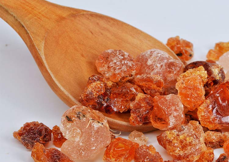 the-future-for-gum-arabic-and-resins-in-kenya